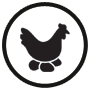 egg-hen-icon